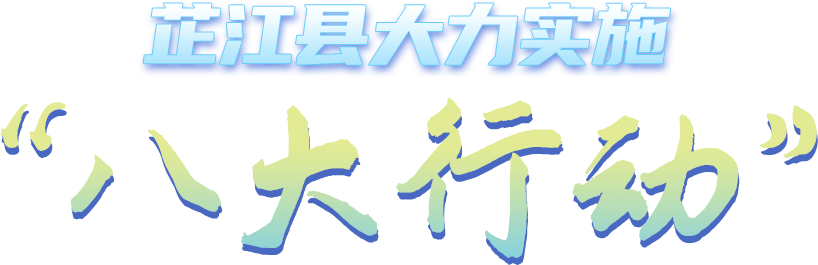 芷江县大力实施“八大行动”